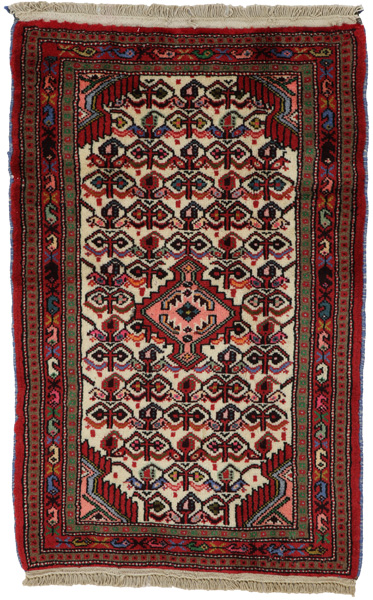 Enjelas - Hamadan Persian Carpet 100x66