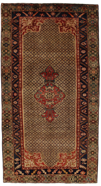 Songhor - Koliai Persian Carpet 295x160