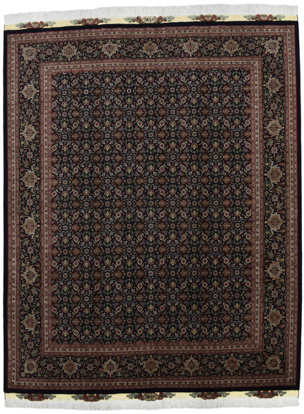 Tabriz - Mahi