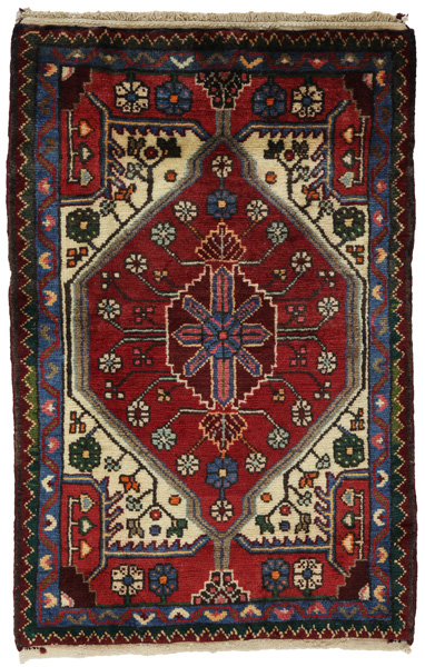 Tuyserkan - Hamadan Persian Carpet 100x65