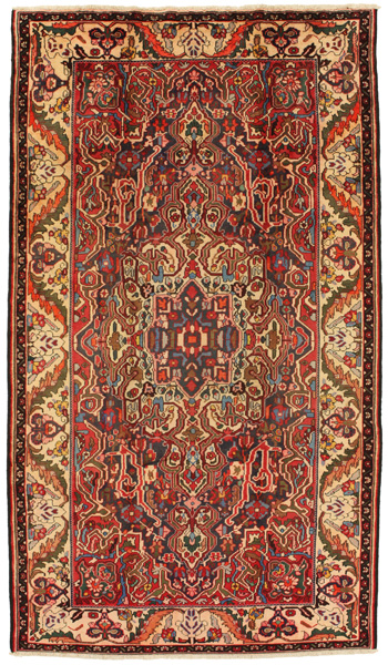 Nahavand - Hamadan Persian Carpet 296x169