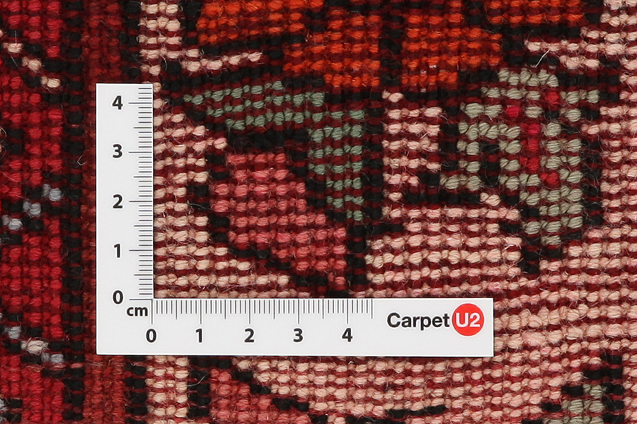 Jozan - Sarouk Persian Carpet 270x150 - Picture 3