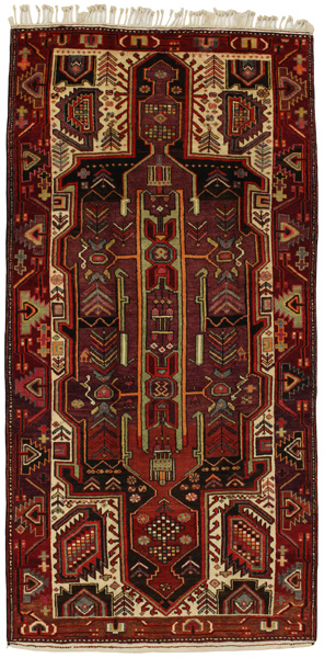Tuyserkan - Hamadan Persian Carpet 314x155