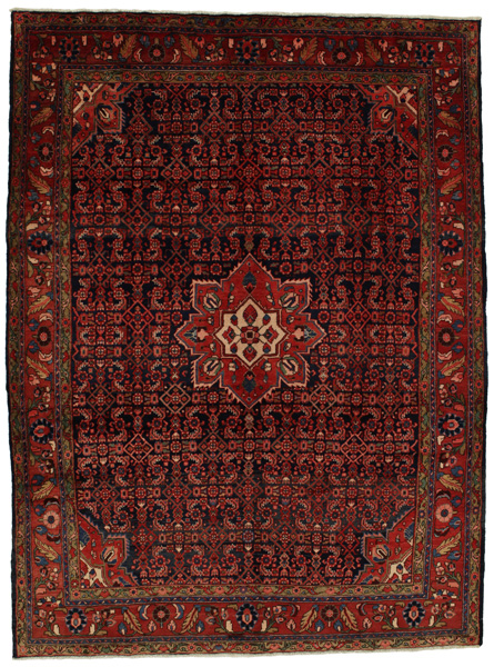 Borchalou - Hamadan Persian Carpet 296x220