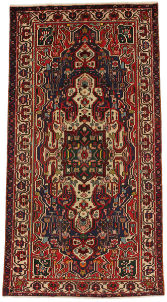 Nahavand - Hamadan Persian Carpet 296x157