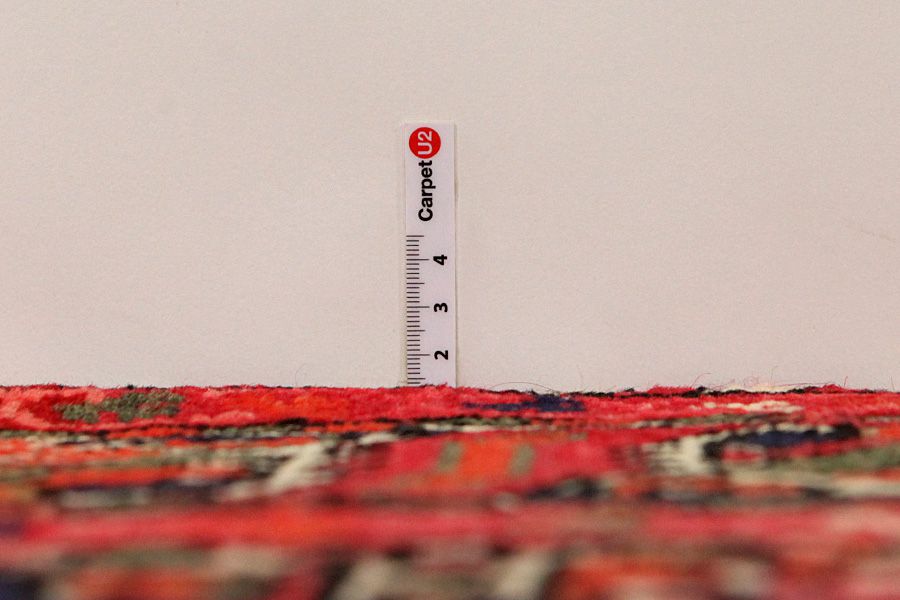 Bakhtiari - Garden Persian Carpet 305x167 - Picture 7