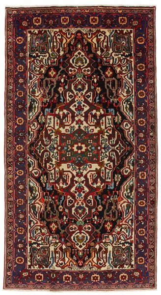 Nahavand - Hamadan Persian Carpet 300x162