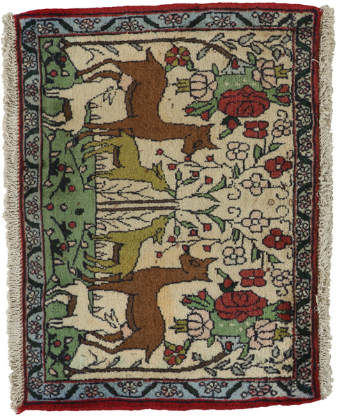 Sarouk - Farahan Persian Carpet 50x70