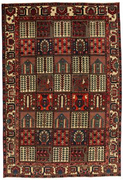 Carpet Bakhtiari Ornak 300x205