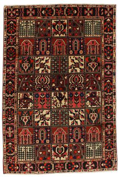 Carpet Bakhtiari Garden 310x210