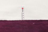 Vintage Persian Carpet 275x163 - Picture 8