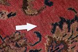 Lilian - Sarouk Persian Carpet 313x207 - Picture 17