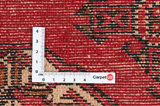 Bokhara - Turkaman Persian Carpet 185x133 - Picture 4