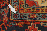 Jozan - Sarouk Persian Carpet 325x206 - Picture 17