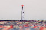 Bijar - Kurdi Persian Carpet 370x276 - Picture 8