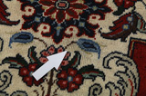 Bakhtiari Persian Carpet 292x200 - Picture 17