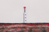Senneh - Kurdi Persian Carpet 323x205 - Picture 8