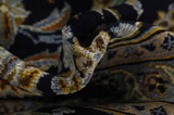 Tabriz Persian Carpet 416x305 - Picture 7