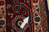 Jozan - Sarouk Persian Carpet 310x197 - Picture 17