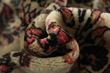 Jozan - Sarouk Persian Carpet 290x210 - Picture 7