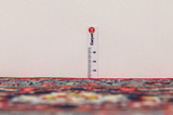 Sarouk - Farahan Persian Carpet 366x249 - Picture 8
