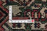 Bijar - Kurdi Persian Carpet 510x355 - Picture 4