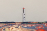 Kashmar Persian Carpet 390x297 - Picture 8