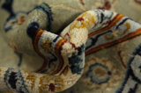 Tabriz Persian Carpet 412x307 - Picture 7