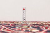Kerman Persian Carpet 345x245 - Picture 8