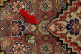 Senneh - Kurdi Persian Carpet 297x198 - Picture 17
