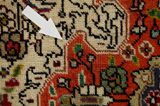 Kerman - Lavar Persian Carpet 292x193 - Picture 17