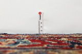Tabriz Persian Carpet 326x110 - Picture 8