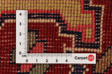Malayer Persian Carpet 267x154 - Picture 4