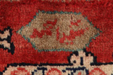 Sultanabad Persian Carpet 322x210 - Picture 7