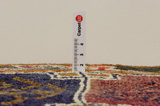 Gabbeh - Bakhtiari Persian Carpet 215x133 - Picture 8