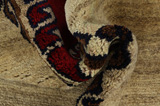 Gabbeh - Qashqai Persian Carpet 185x120 - Picture 7