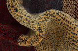Gabbeh - Qashqai Persian Carpet 228x125 - Picture 7