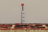 Gabbeh - Qashqai Persian Carpet 256x151 - Picture 8