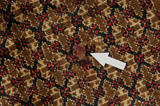 Songhor - Koliai Persian Carpet 317x162 - Picture 17