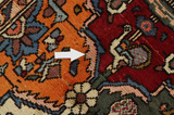 Bakhtiari - Garden Persian Carpet 314x207 - Picture 18