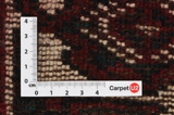Koliai - Kurdi Persian Carpet 300x159 - Picture 4