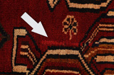 Bakhtiari - Qashqai Persian Carpet 246x172 - Picture 17