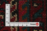 Borchalou - Hamadan Persian Carpet 219x157 - Picture 4