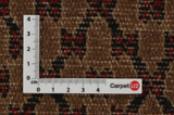 Songhor - Koliai Persian Carpet 303x152 - Picture 4