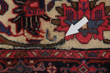 Borchalou - Hamadan Persian Carpet 313x206 - Picture 17