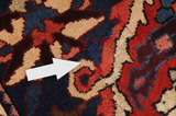 Bakhtiari Persian Carpet 308x210 - Picture 18
