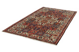 Bakhtiari - Garden Persian Carpet 296x169 - Picture 2