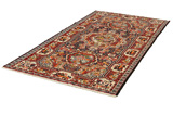 Bakhtiari Persian Carpet 303x160 - Picture 2