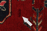 Lori - Bakhtiari Persian Carpet 265x143 - Picture 18