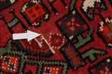 Hosseinabad - Hamadan Persian Carpet 299x162 - Picture 17
